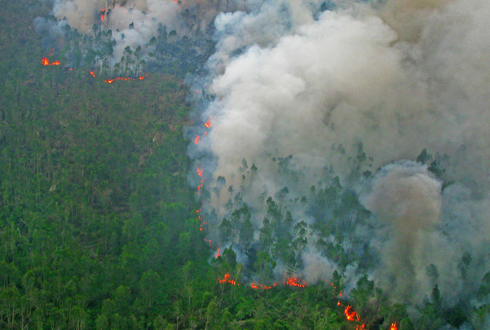 Environmental Monitoring